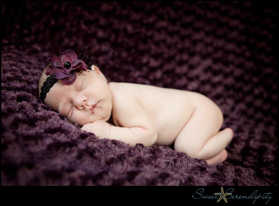 gainesville_baby_photographer02