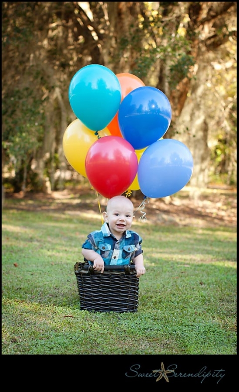Milestones Baby Jameson :: One Year | Gainesville Baby Photographer ...