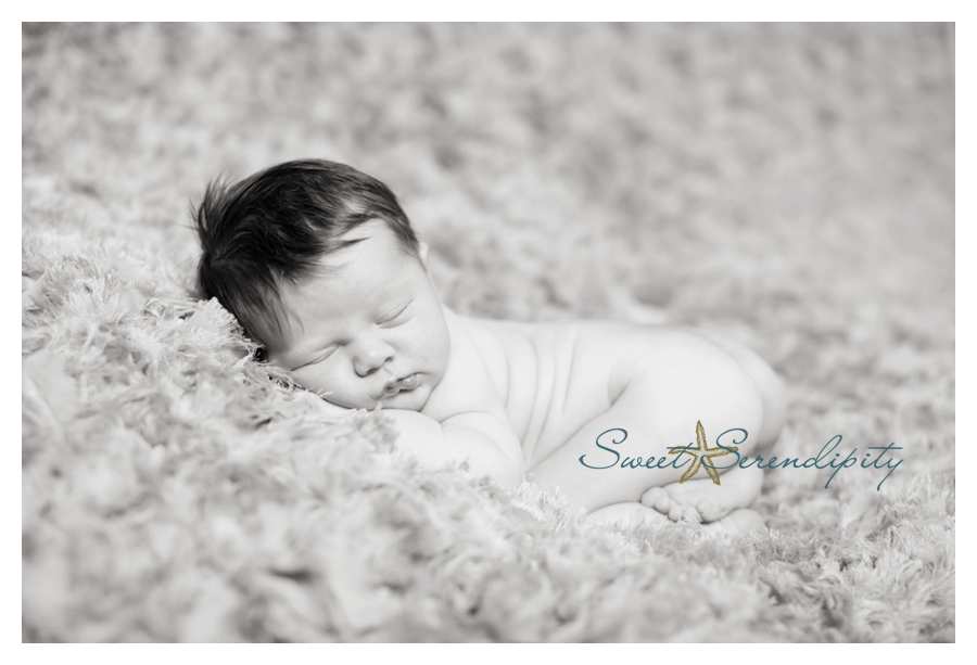 gainesville newborn photography_0025