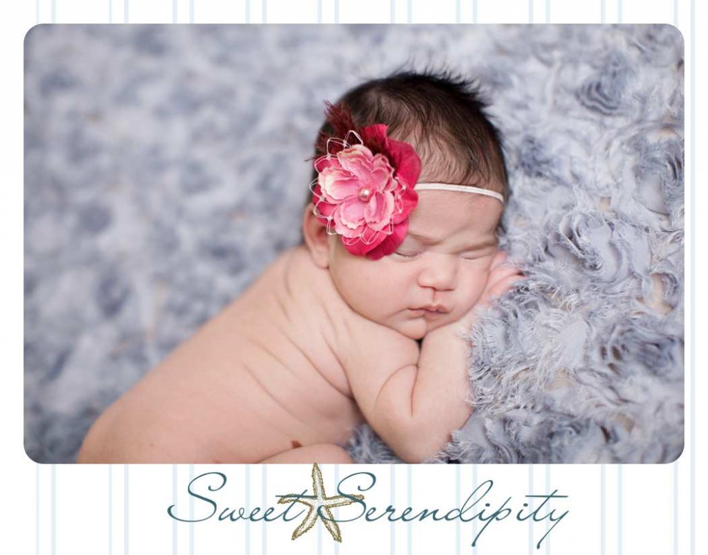 Sweet Serendipity, Gainesville newborn photography