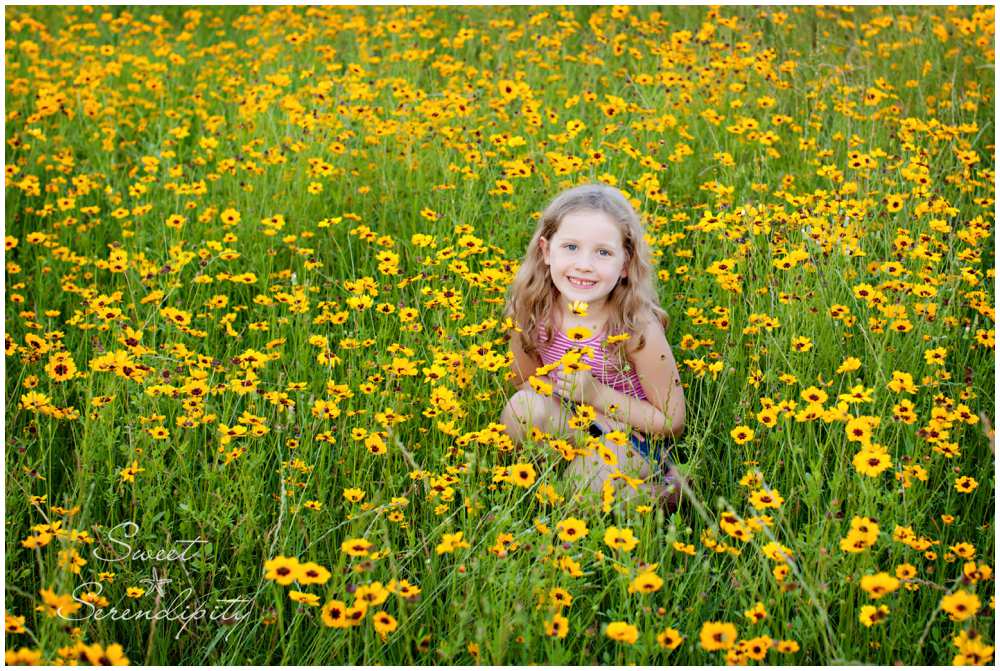 gainesville wildflower photography_0018