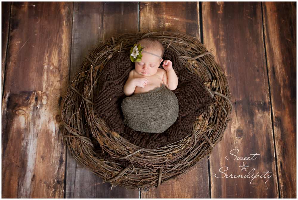 gainesville baby photography_0031