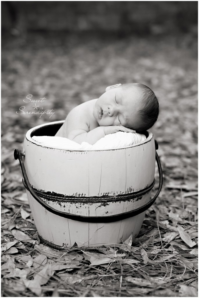 gainesville newborn photography_0005