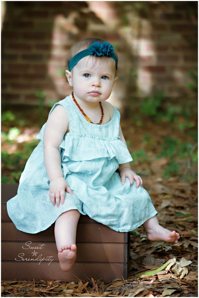 gainesville baby photography