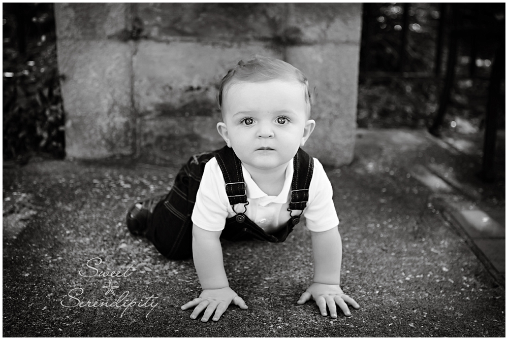 gainesville baby photography_0017-1