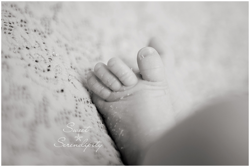 gainesville newborn photographer_0008