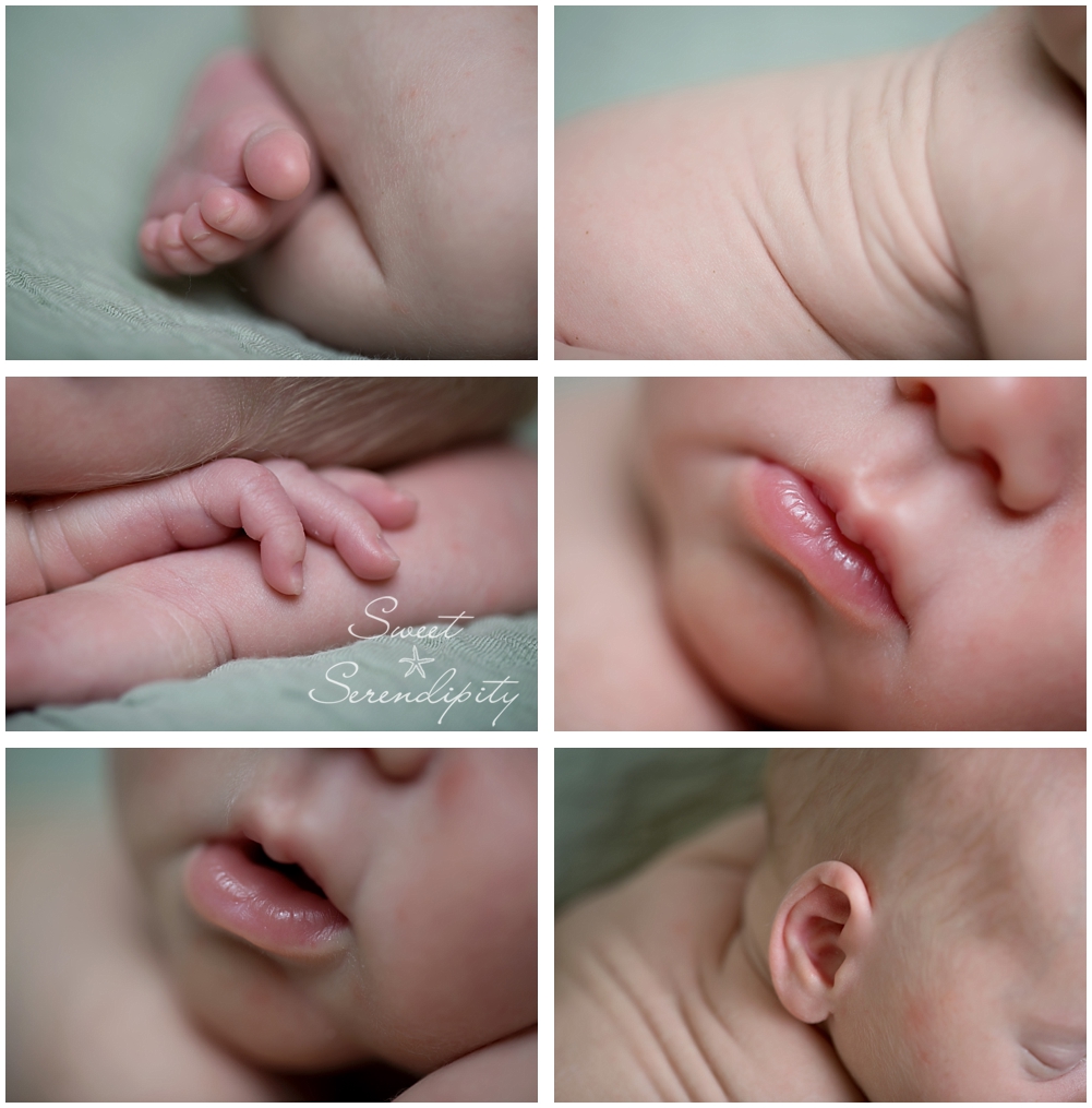 gainesville newborn photographer_0018