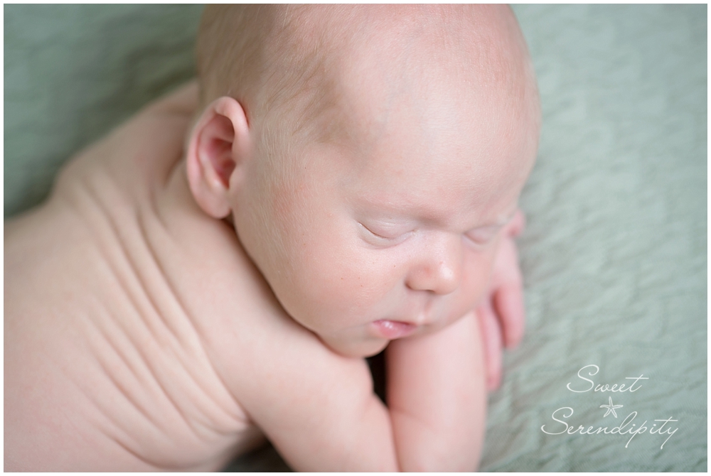 gainesville newborn photographer_0019