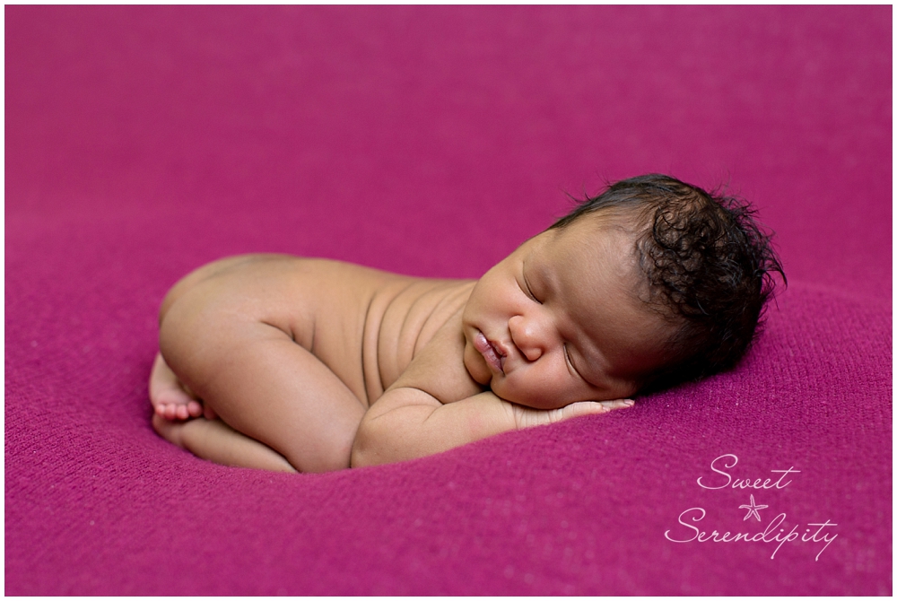 gainesville newborn photographer_0020-1