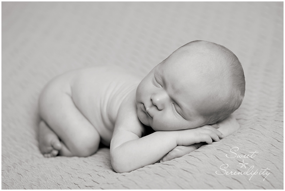 gainesville newborn photographer_0021