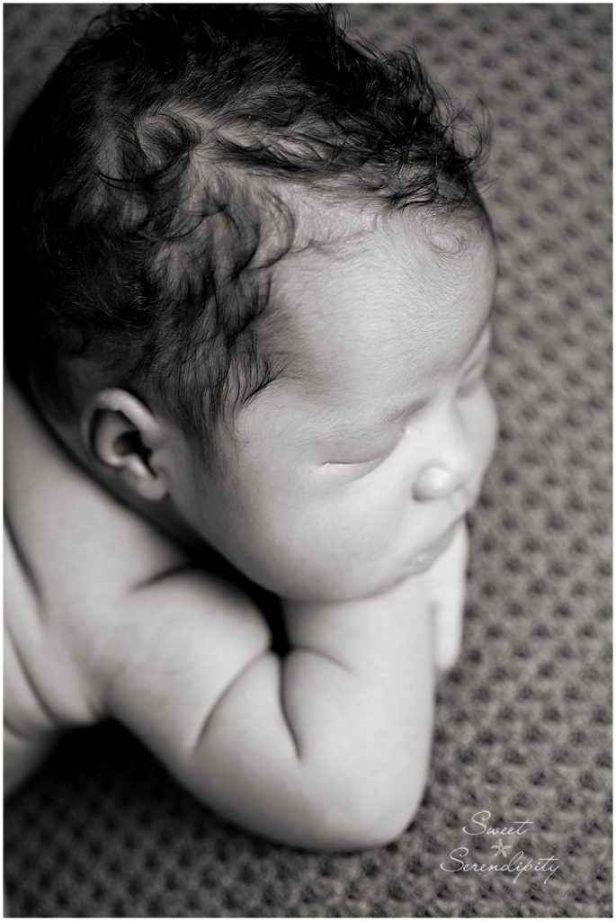 gainesville newborn photographer_0025-1