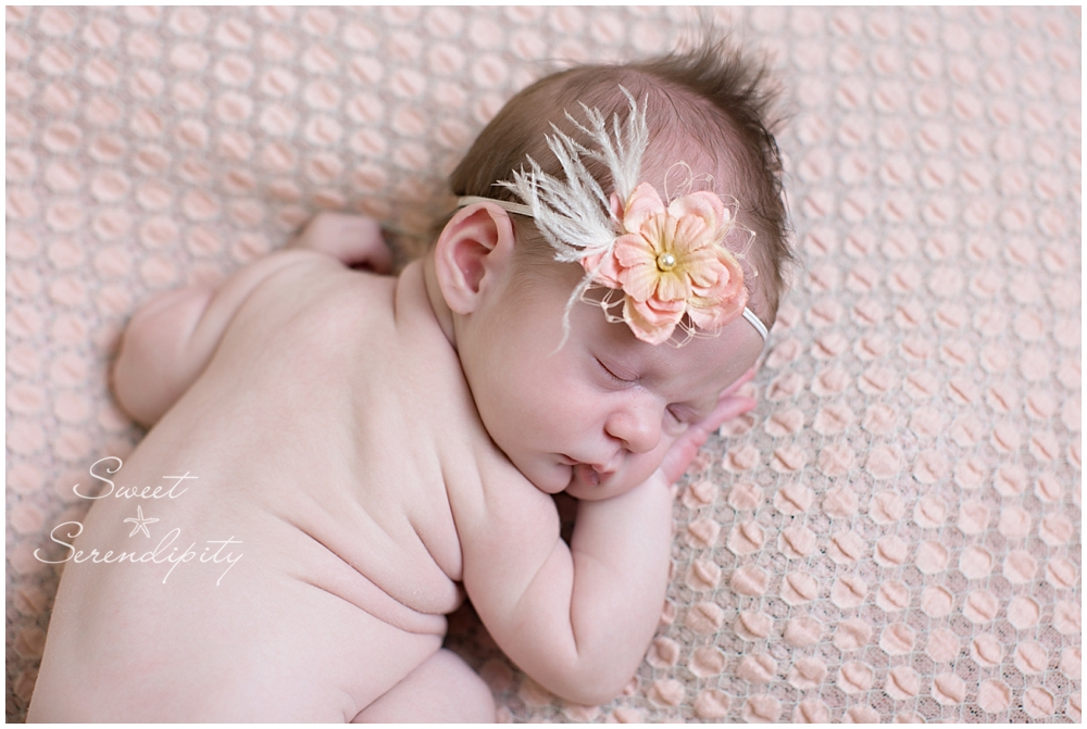 gainesville newborn photographer_0002-1